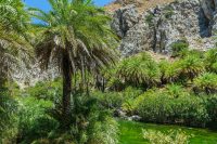 Preveli Beach Rethymno Crete