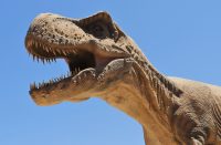 Natural History Museum Heraklion Crete - allincrete.com