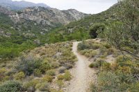Milonas Gorge Ierapetra Crete