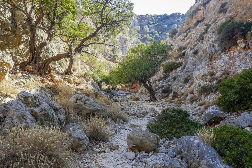 Katholiko Monastery Avlaki Gorge Chania Crete - allincrete.com