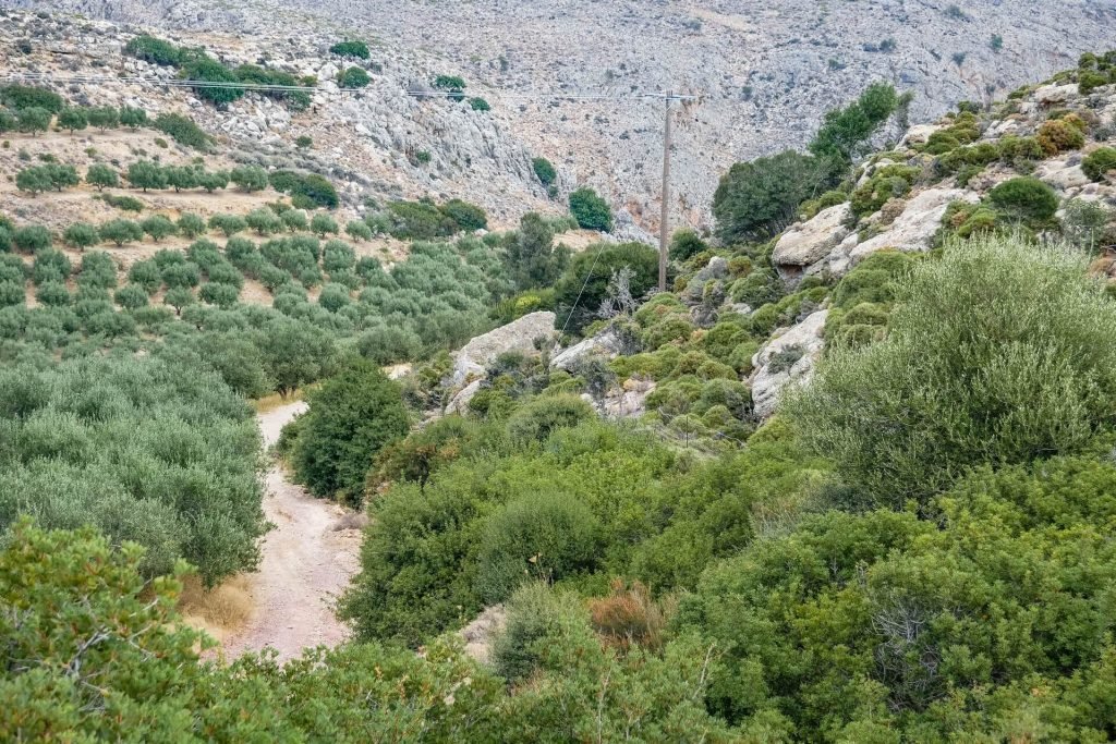 Gorge of the Dead Kato Zakros Lasithi Crete - Copyright Allincrete.com