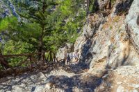 Samaria Gorge in Chania, Crete, Greece -AllinCrete.com