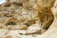 Matala Caves Heraklion Crete - Copyright Allincrete.com